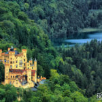 fairytale castle in the middle of a green forest with lake