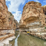 woman dipping her legs in a river surrounded by desert cliffs in israel