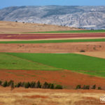 agriculture fields in the valley of Beit She'an israel