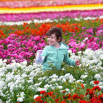 happy child smiling in a colorful flowers field in israel
