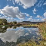 hula valley nature reserve israel