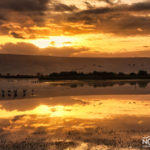 hula valley nature reserve sunrise