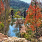Autumn Colors in trees with lake a a bridge in Jerusalem