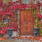 entrance to a house surrounded by colorful fall leaves