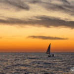 sailing at sea in sunset
