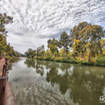 bridge and trees reflecting in the yarkon river