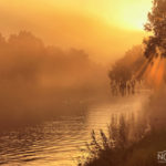 misty morning sun rays in the park